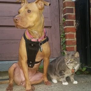 Meet your Posher, Taylor